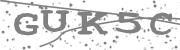 Type the letters in the image or Type the first letter of the words spoken in the audio.