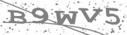 Type the letters in the image or Type the first letter of the words spoken in the audio.