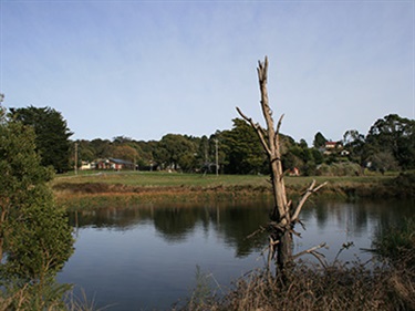 Mount Egerton Landscape