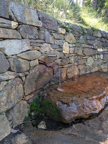 Spargo creek mineral spring