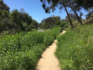 Peppertree Park