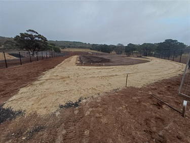 dog-park-c.jpg