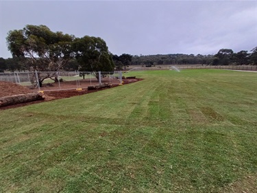 dog-park-g.jpg