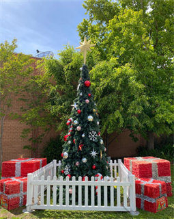 Ballan tree.PNG