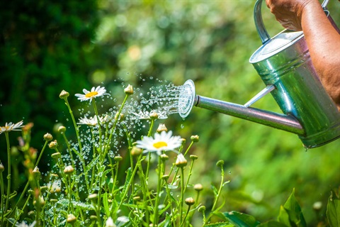 Bacchus Marsh Gardeners