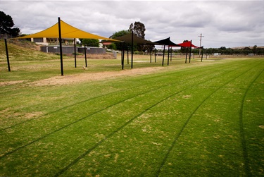 grass athletics track and share sails