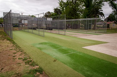 practice cricket nets