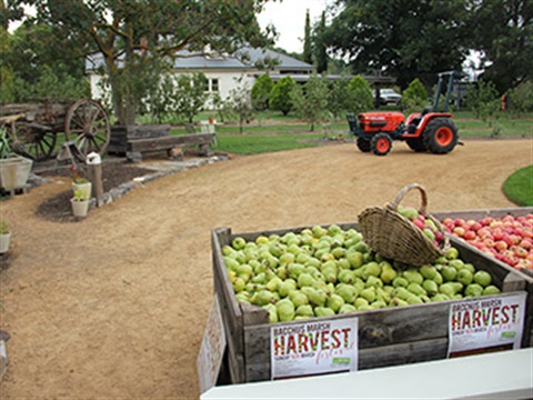Markets and Farmgates