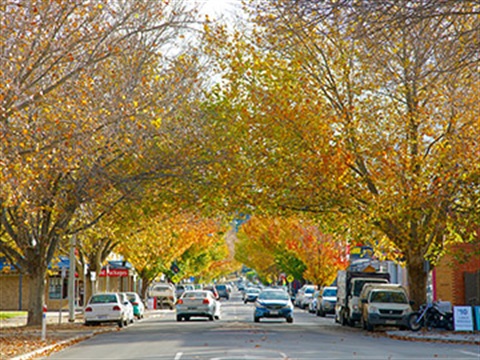 Bacchus Marsh Main Street