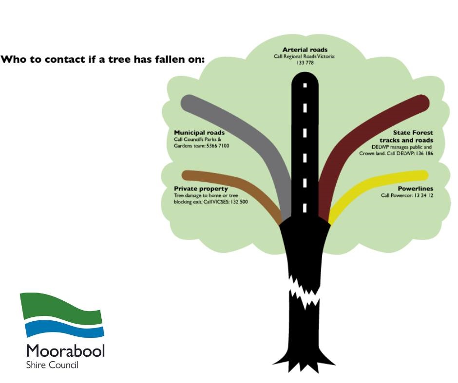 Reporting tree issues