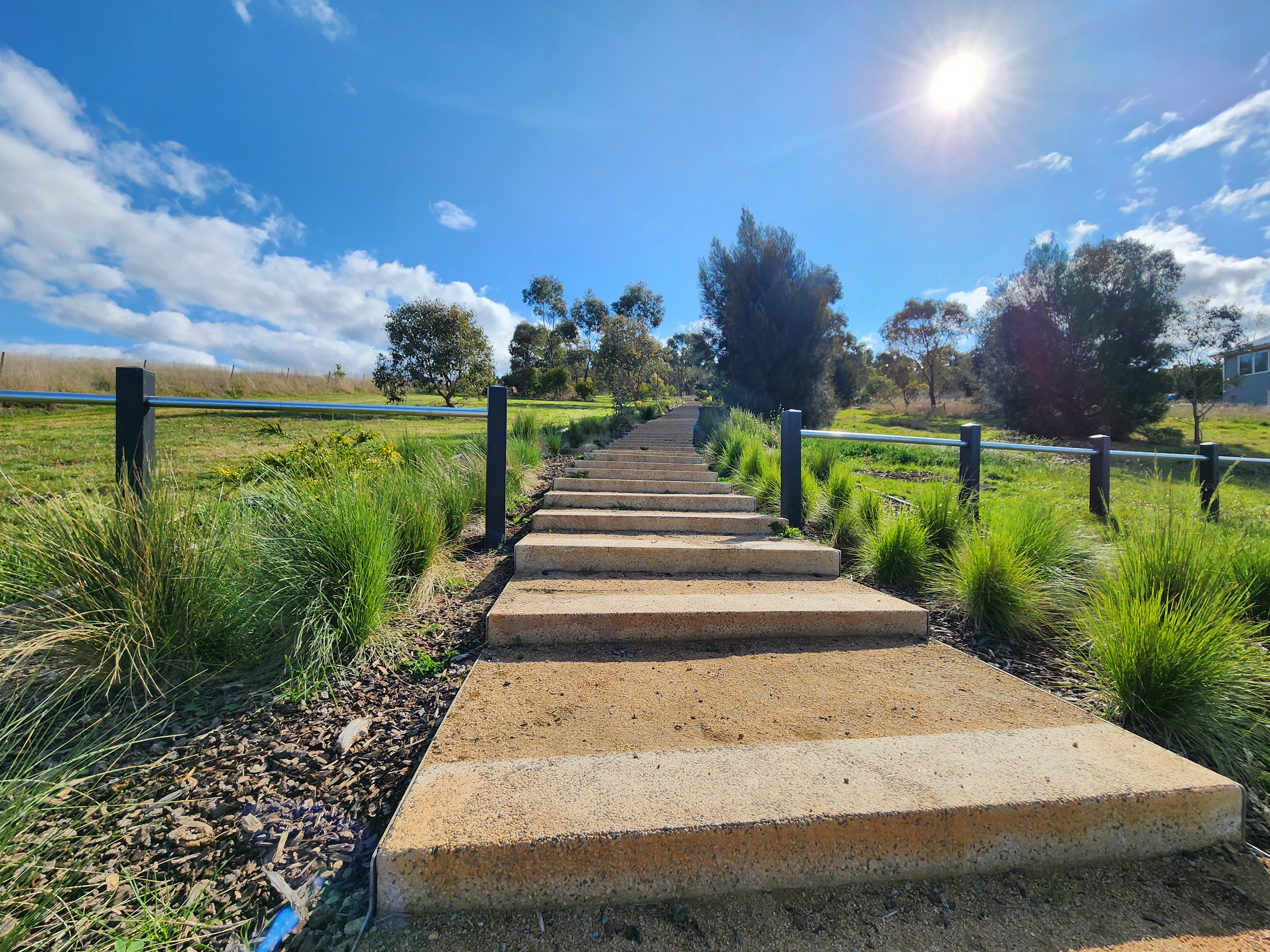 1000Steps.jpg