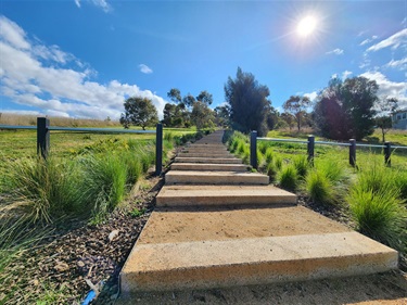 1000+ Steps