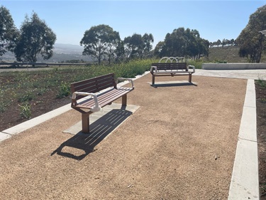 Bald Hill Progress Jan25