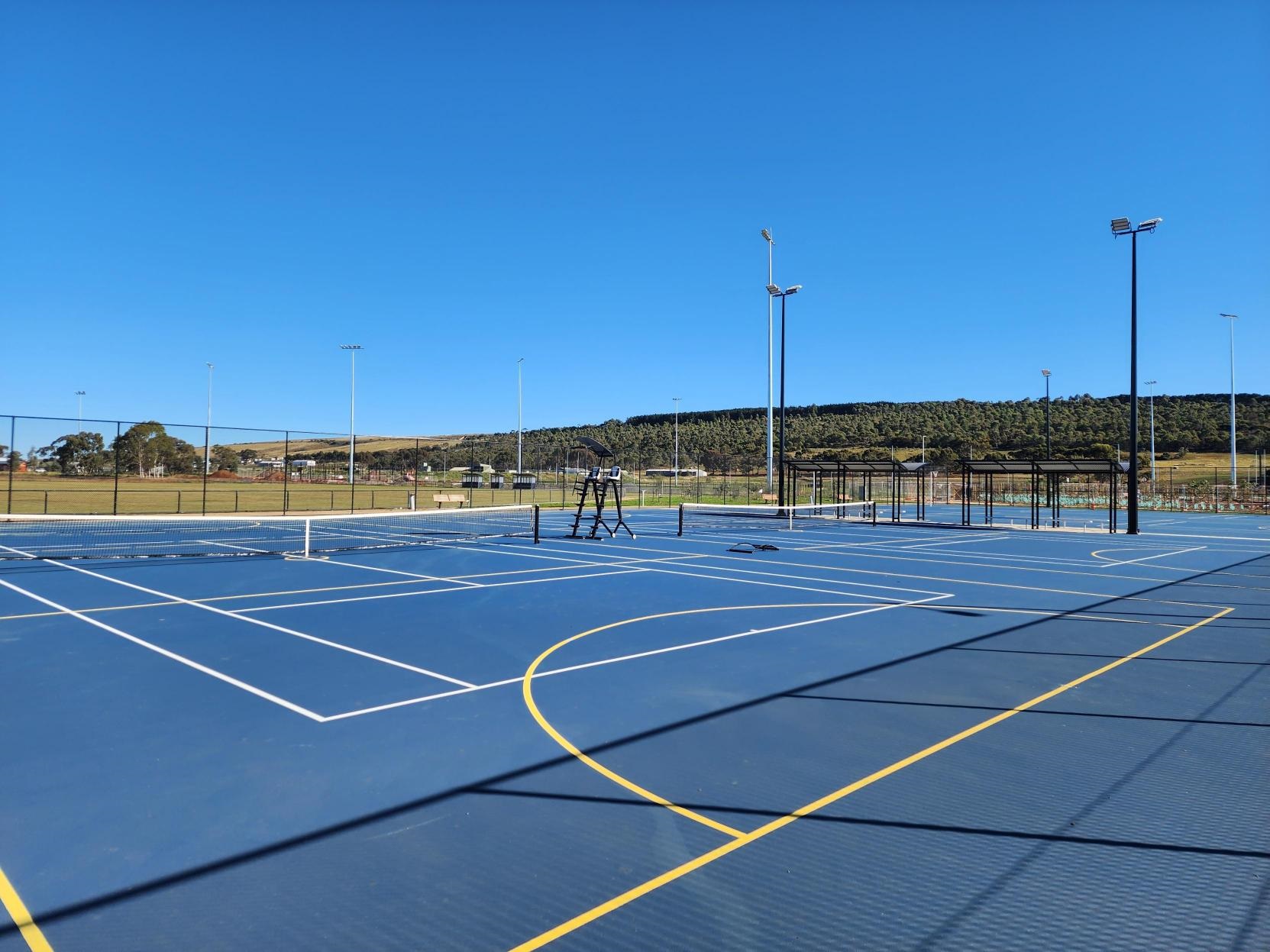 BMRRR-netball-1.png