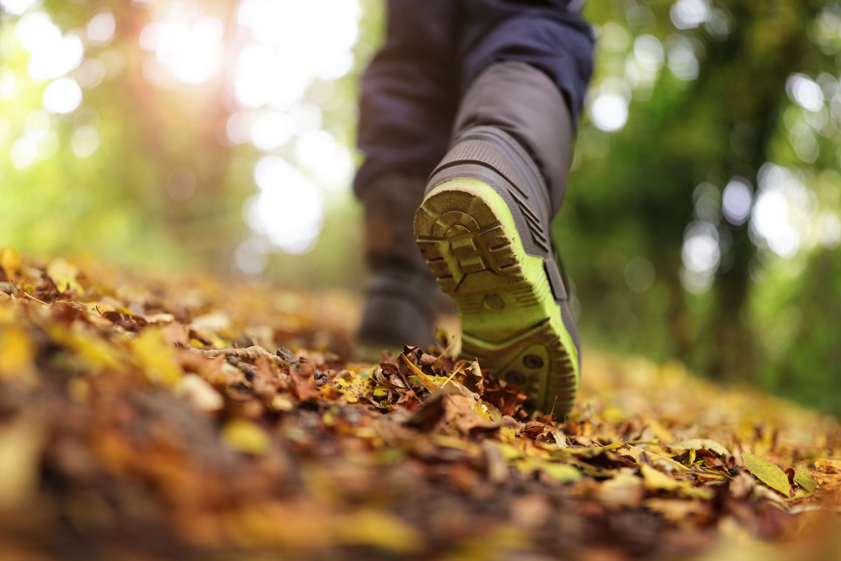 Walking in nature