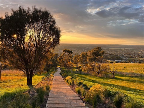 1000-steps-dusk.jpg