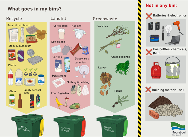 What goes in my bins.png