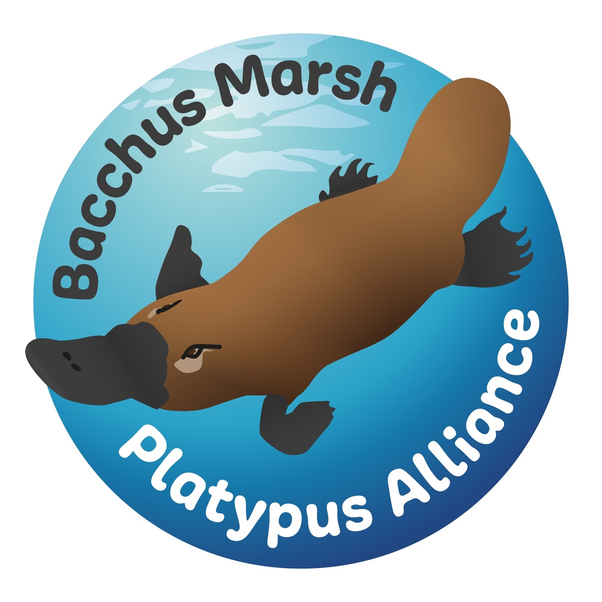 Bacchus Marsh Platypus Alliance Moorabool Shire Council