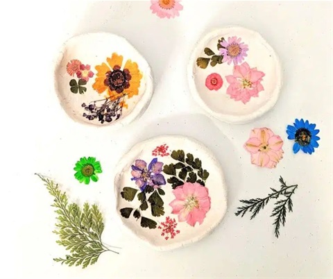 Website thumbnails Jan - March 2026_Stevie Fisher 1.jpg