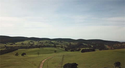 Muir property 2.png